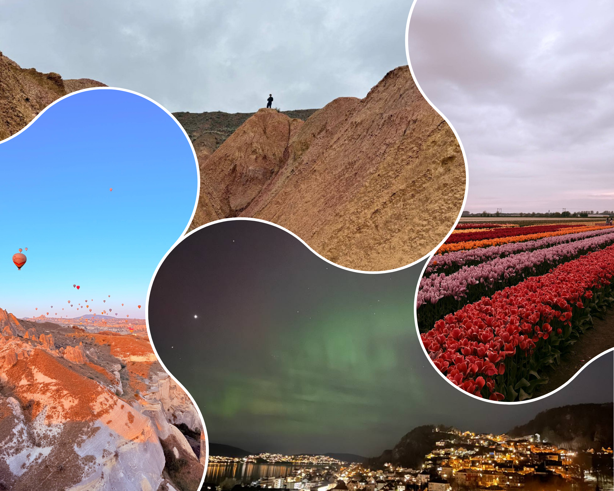 Travela experiences